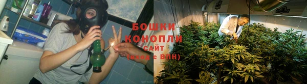 кокс Баксан