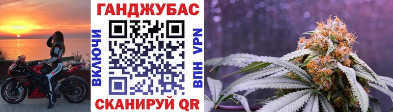 купить наркотики сайты  Торопец  мориарти клад  Канабис Ganja 